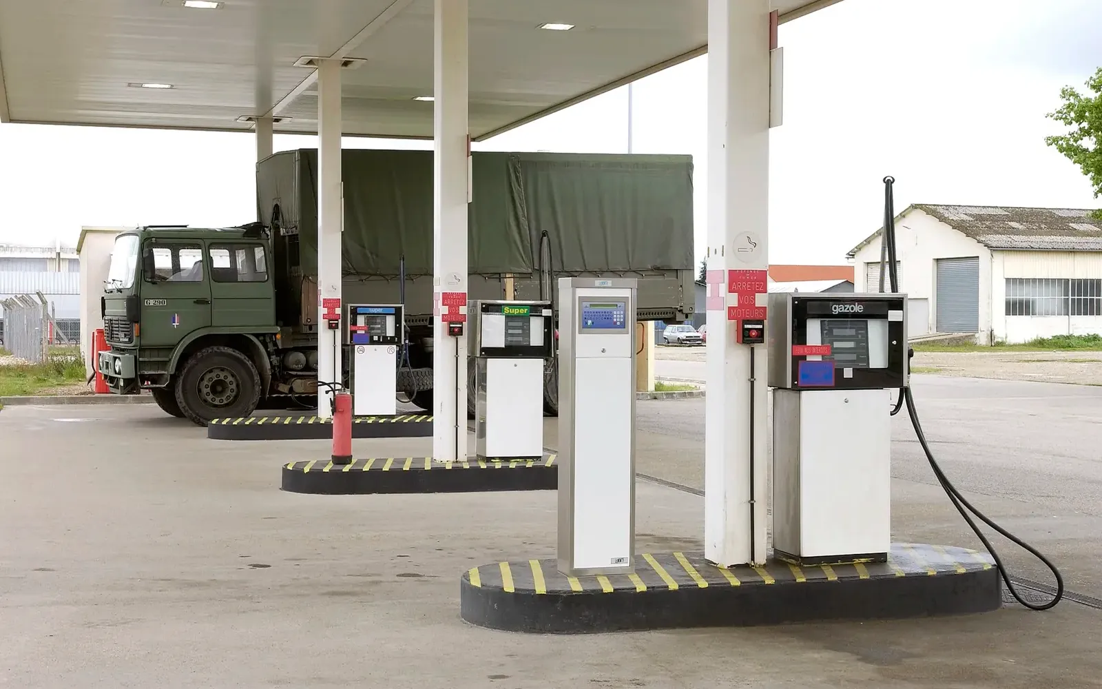 gir-gca-tip-born01-resized