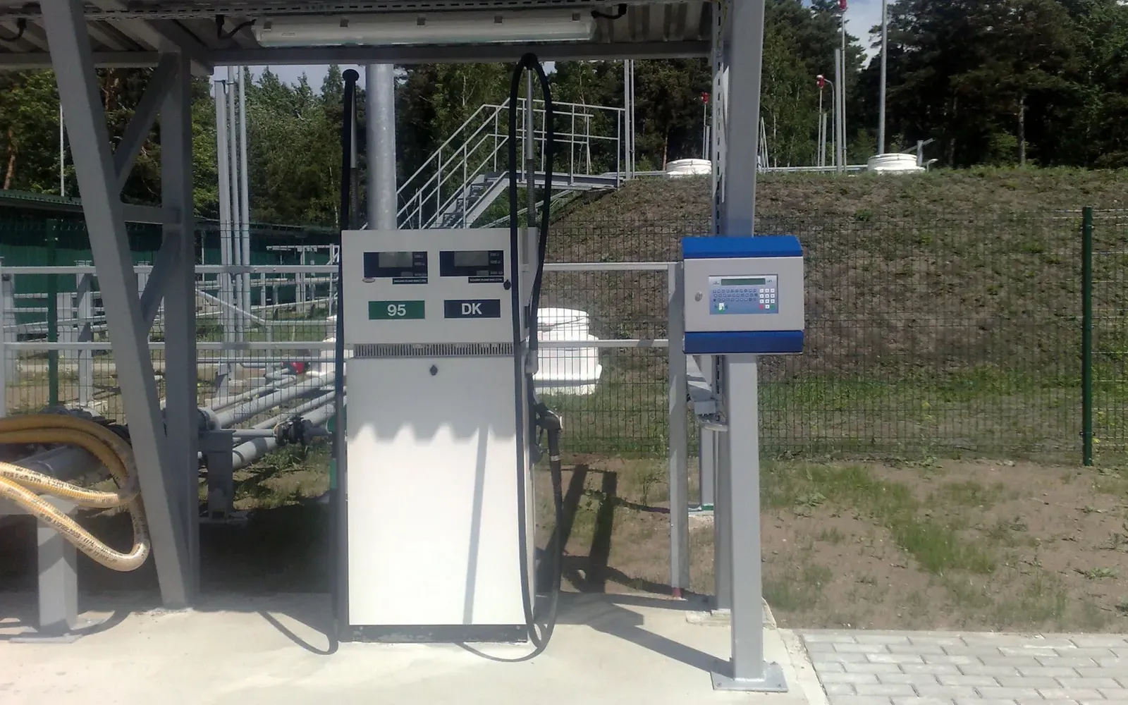 gir-gca-tip-born03-resized