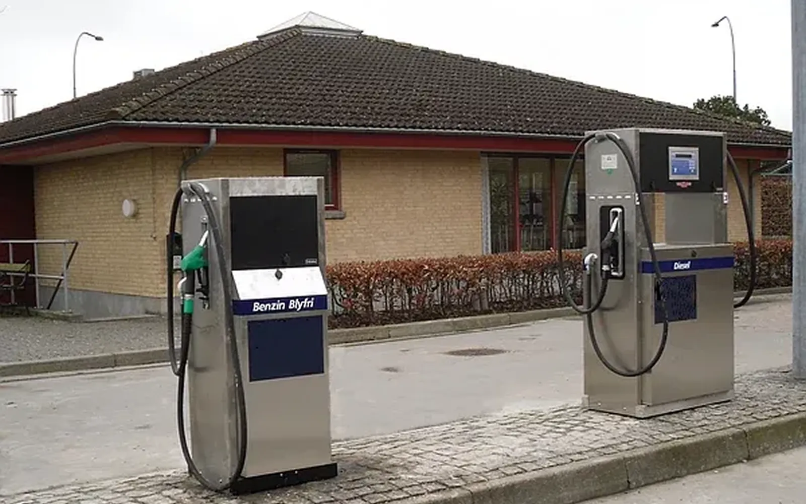 gir-gca-tip-born04-resized